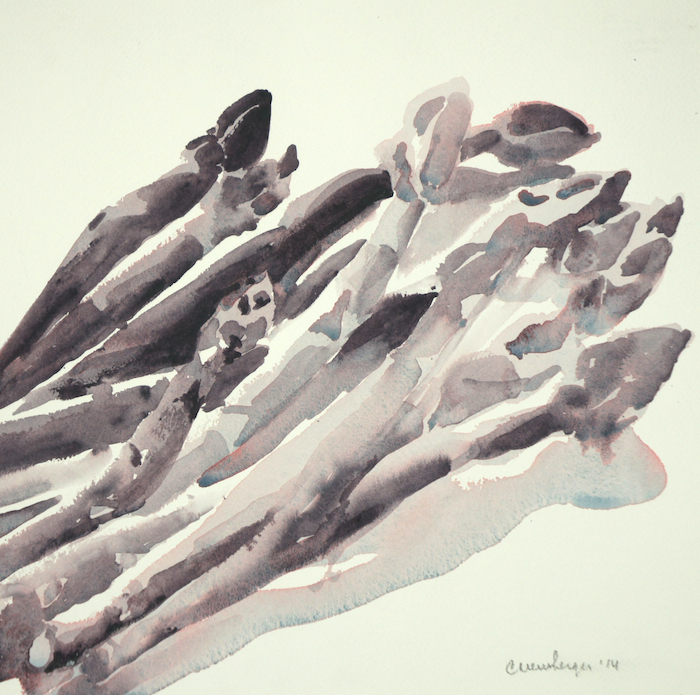 Asparagus