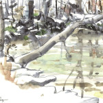 Kennedy Park Pond, Watercolor