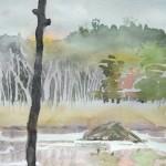 Pleasant Valley Homestead