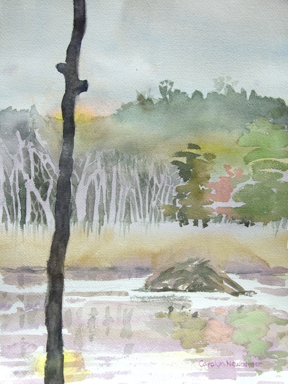 Pleasant Valley Homestead