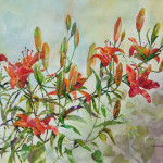 Tiger Lilies, Watercolor