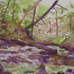 Yokun Brook Cascades, Watercolor