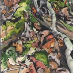 Mycena Mushrooms on a Log