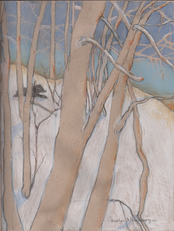 Trees in Winter