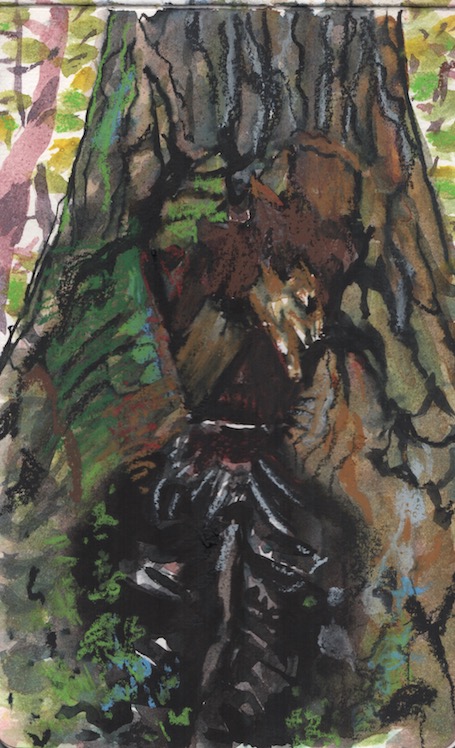 Weeping tree