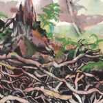 What we see isn’t all there is